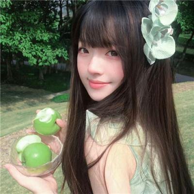 鲨与鲸